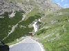 Kopie von Alp6 IMG.gif